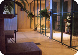 Mornington Peninsula Cattery