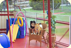 playtime