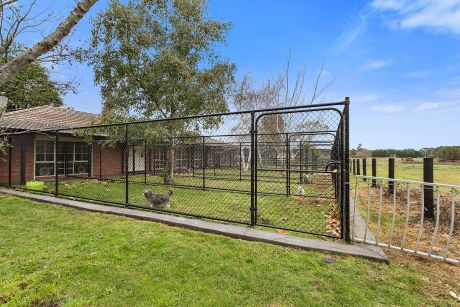 luxury dog kennel melbourne