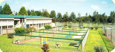 Kennels